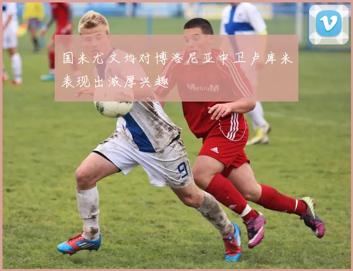 国米尤文均对博洛尼亚中卫卢库米表现出浓厚兴趣